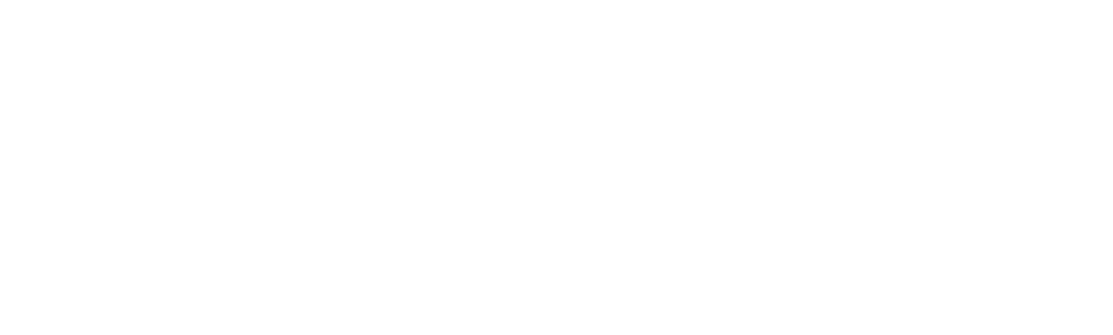 Ellorian Retail Solutions