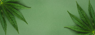 Cannabis & CBD Kiosk